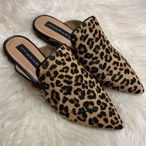 NEVER USED Velma-L Steve Madden leopard flats.